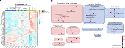 Cell Senescence-Related Pathways Are Enriched in Breast Cancer Patients With Late Toxicity After Radiotherapy and Low Radiation-Induced Lymphocyte Apoptosis